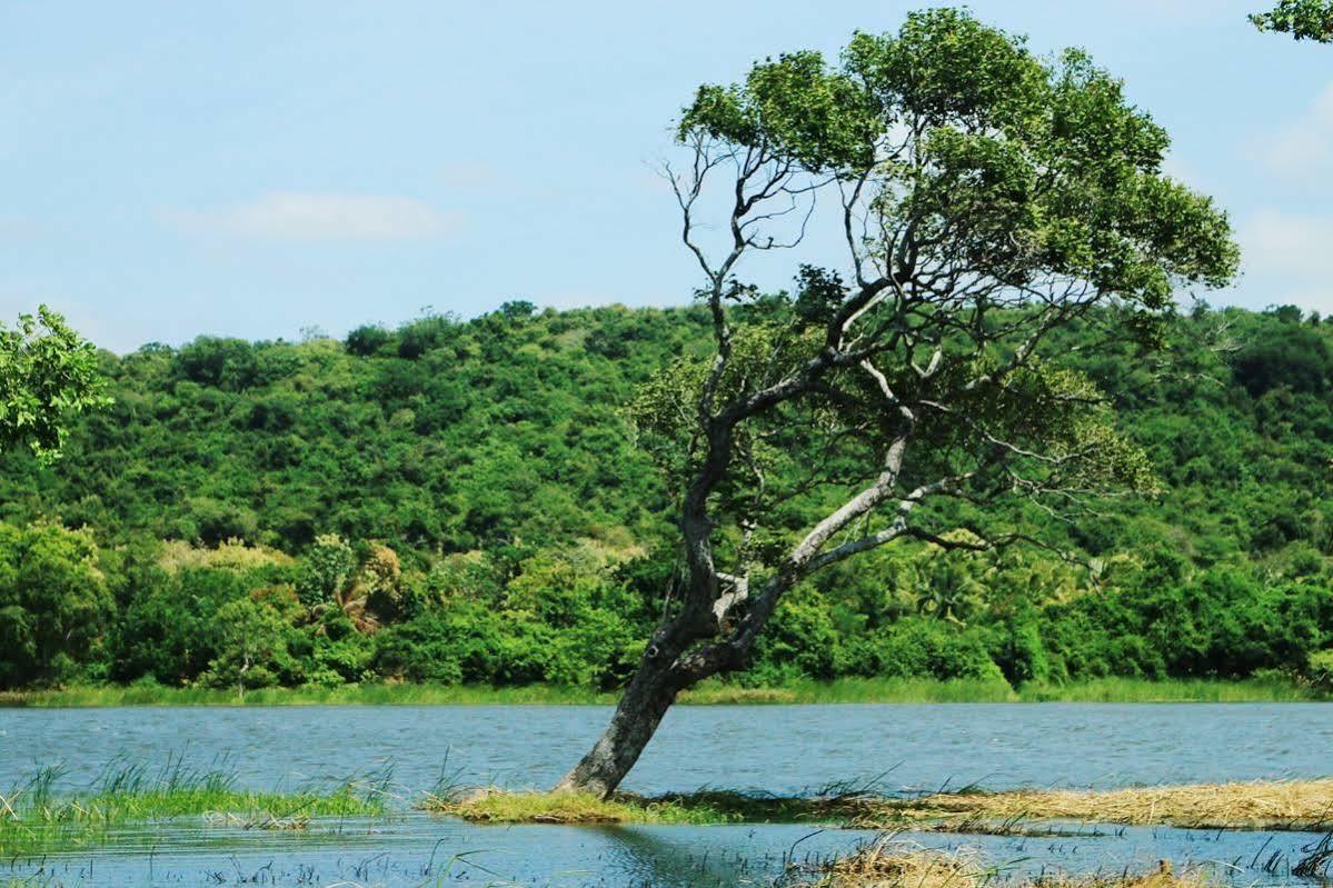 Athena Lake By Seedevi Dambulla Buitenkant foto